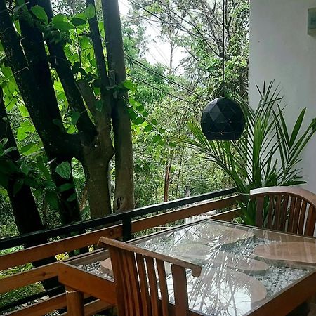 Dhanudi Homestay Ella Ngoại thất bức ảnh