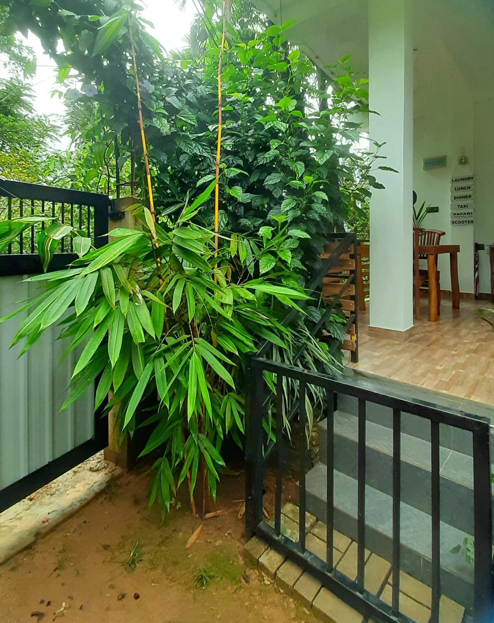 Dhanudi Homestay Ella Ngoại thất bức ảnh